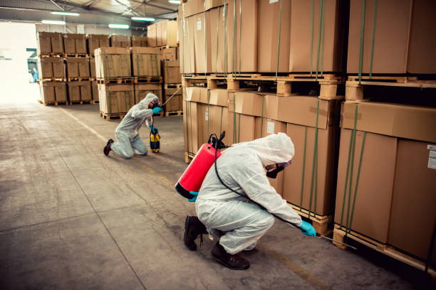 Best Best Pest Control Companies  in Henry, IL