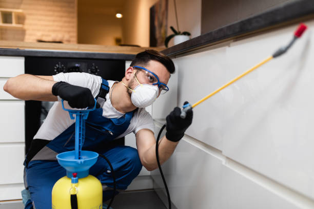 Best Pest Removal Services  in Henry, IL