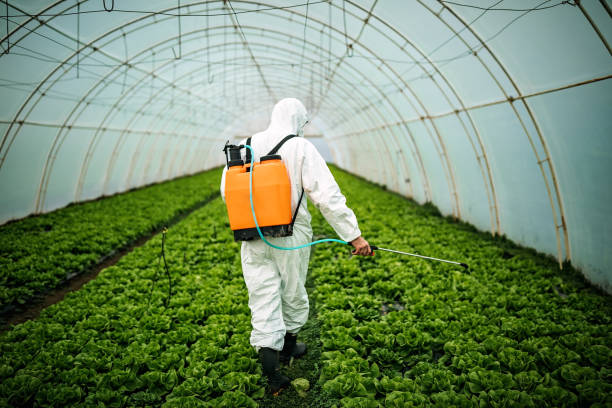 Best Mosquito Control Services  in Henry, IL