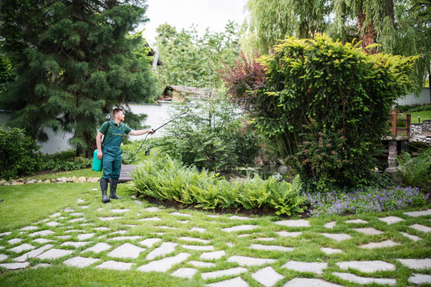 Wasp Removal Services in Henry, IL