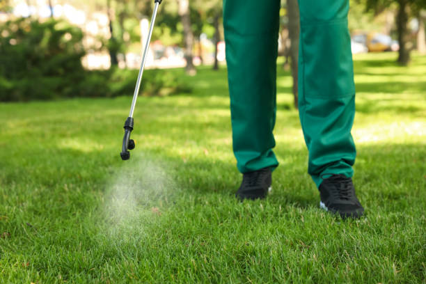 Best Affordable Exterminators  in Henry, IL