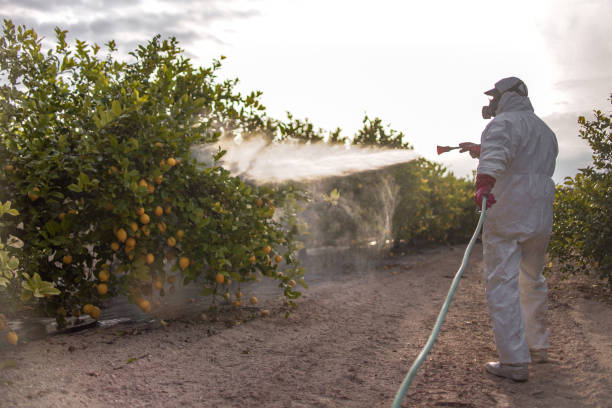 Best Exterminator Services  in Henry, IL