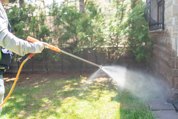 Best Rat Extermination Near Me  in Henry, IL
