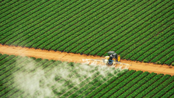 Best Pest Prevention Services  in Henry, IL